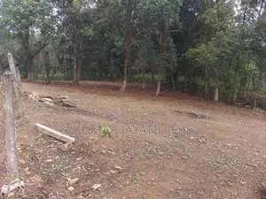 18 perches bare land for sale in Horana