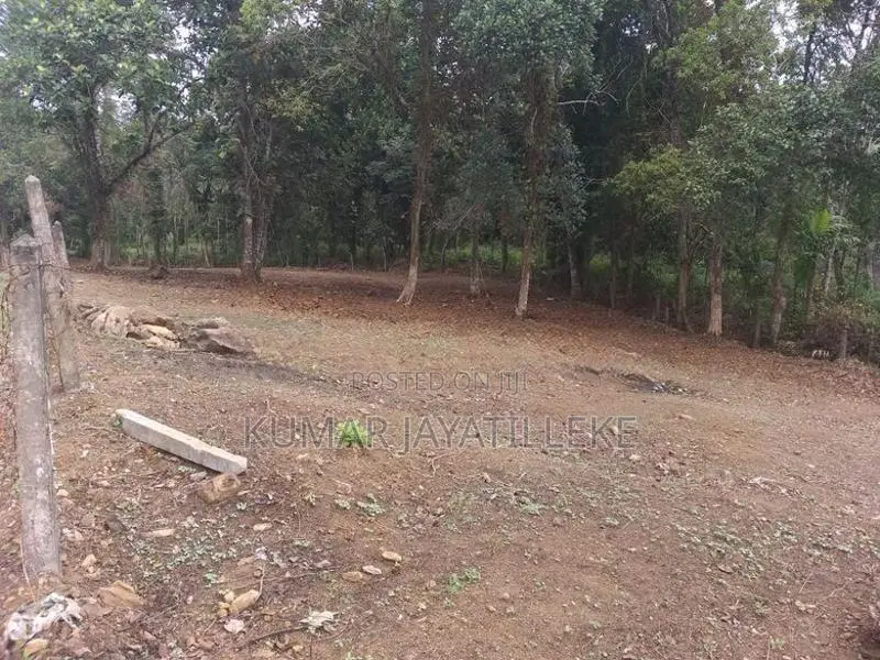 18 perches bare land for sale in Horana