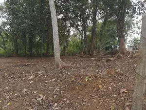 18 perches bare land for sale in Horana