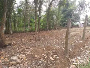 18 perches bare land for sale in Horana
