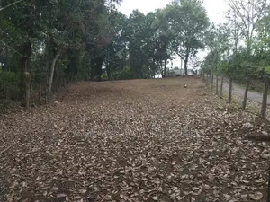 18 perches bare land for sale in Horana