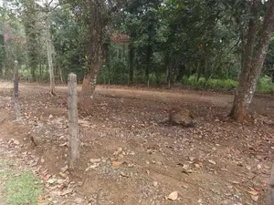 Horana Ballapitiya Prime Land For Sale (3 Nos 15 Perch Blocks)