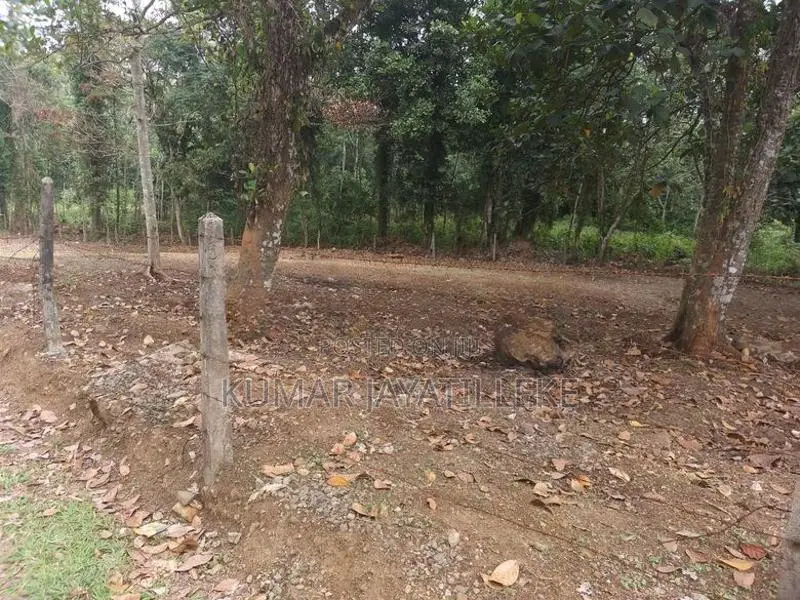 Horana Ballapitiya Prime Land For Sale (3 Nos 15 Perch Blocks)