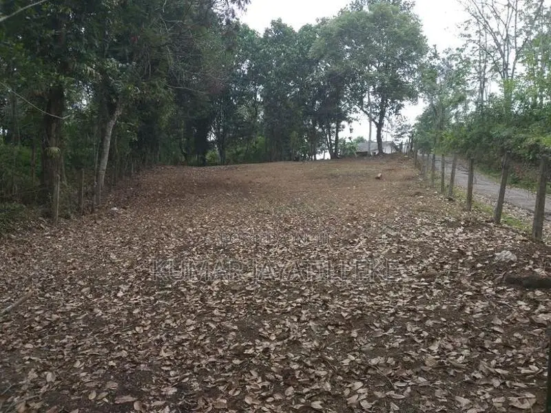 Horana Ballapitiya Prime Land For Sale (3 Nos 15 Perch Blocks)