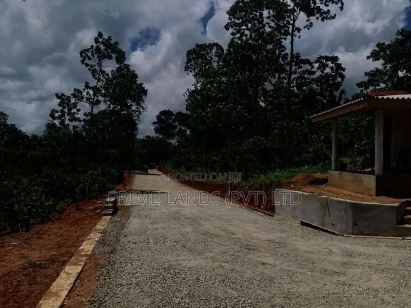 අම්බලන්ගොඩ නගර සභා සීමාවෙන් බිම් කොටස් කිහිපයක්
