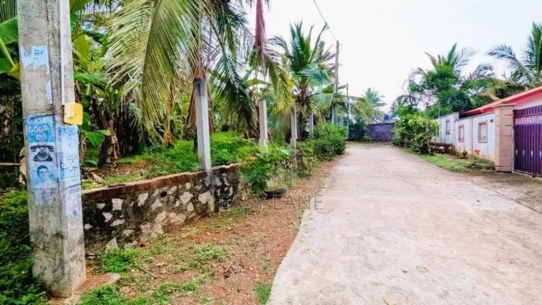 ගනේමුල්ල – බොල්ලතෙන් අගනා ඉඩම් කැබලි