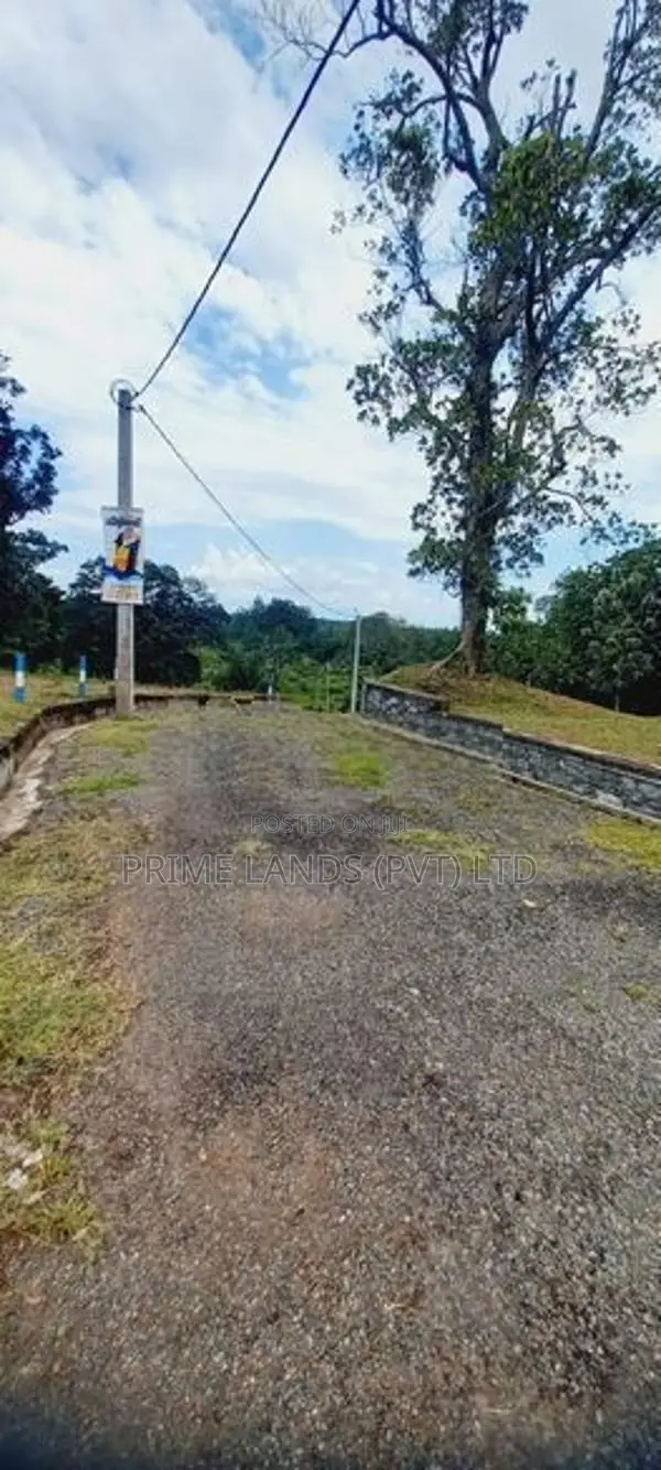 කිඳෙල්පිටිය හන්දියට ලඟින් අගනා ඉඩමක්