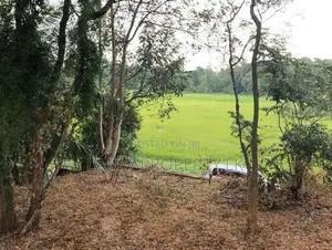 Prime Elevated Land for Sale at Lake Road, Akuregoda – Battaramulla