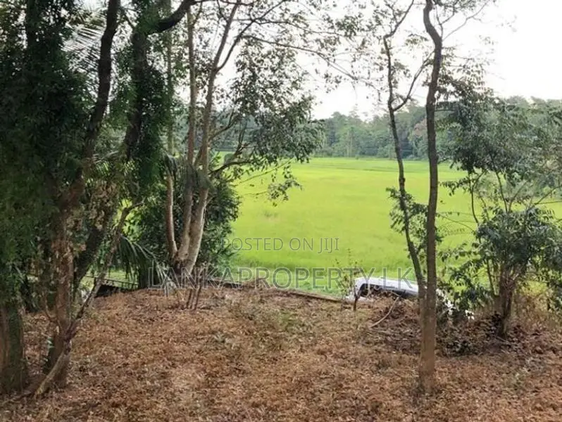 Prime Elevated Land for Sale at Lake Road, Akuregoda – Battaramulla