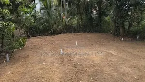 Land for Sale In Pelenwatta, Kottawa