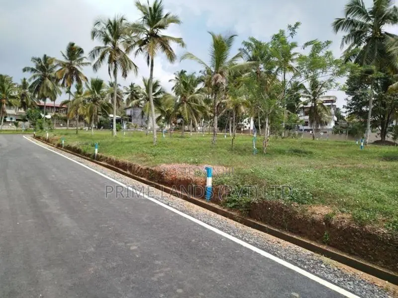 පොල්ගස්ඕවිට හන්දියට ආසන්නව බිම් කොටස් විකිණීමට