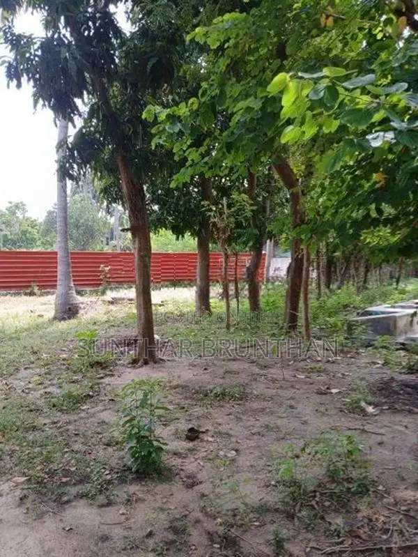 Land for Sale சங்கானை