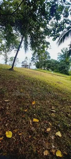 Valuable Land Plots for Sale in Hirana