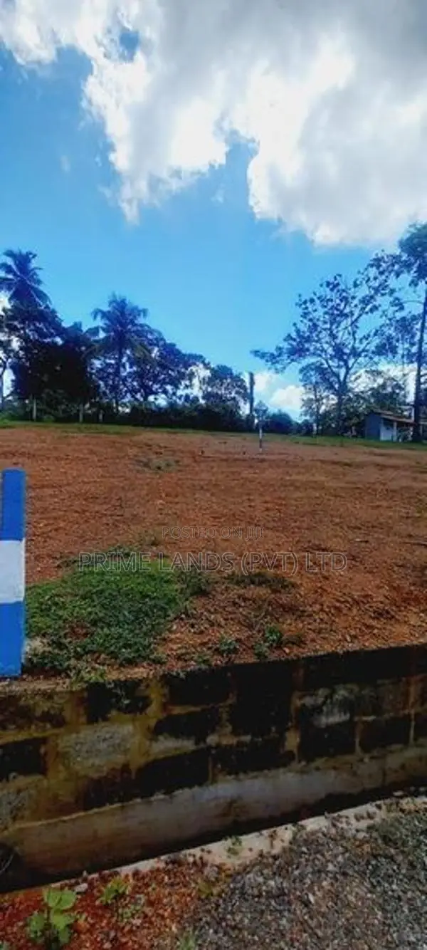 කිඳෙල්පිටිය හන්දියට ලඟින් අගනා ඉඩමක්