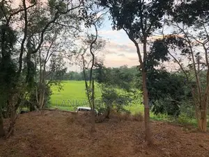 Prime Elevated Land for Sale at Lake Road, Akuregoda – Battaramulla