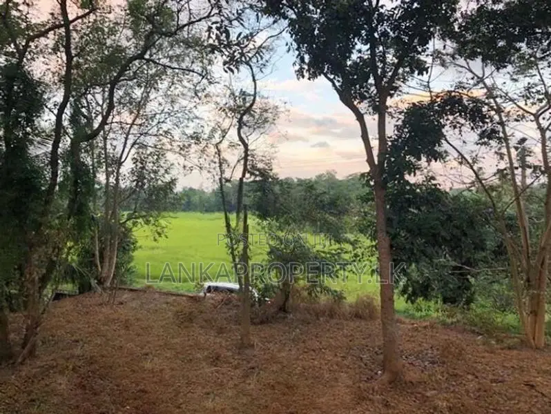 Prime Elevated Land for Sale at Lake Road, Akuregoda – Battaramulla