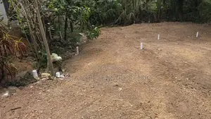 Land for Sale In Pelenwatta, Kottawa