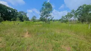 පර්චස් 16 බිම් කැබලි 2ක් Diulapitiya