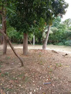Land for Sale in Jaffna
