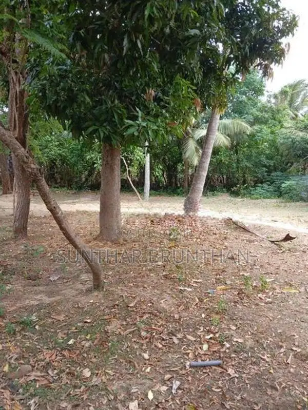 Land for Sale in Jaffna