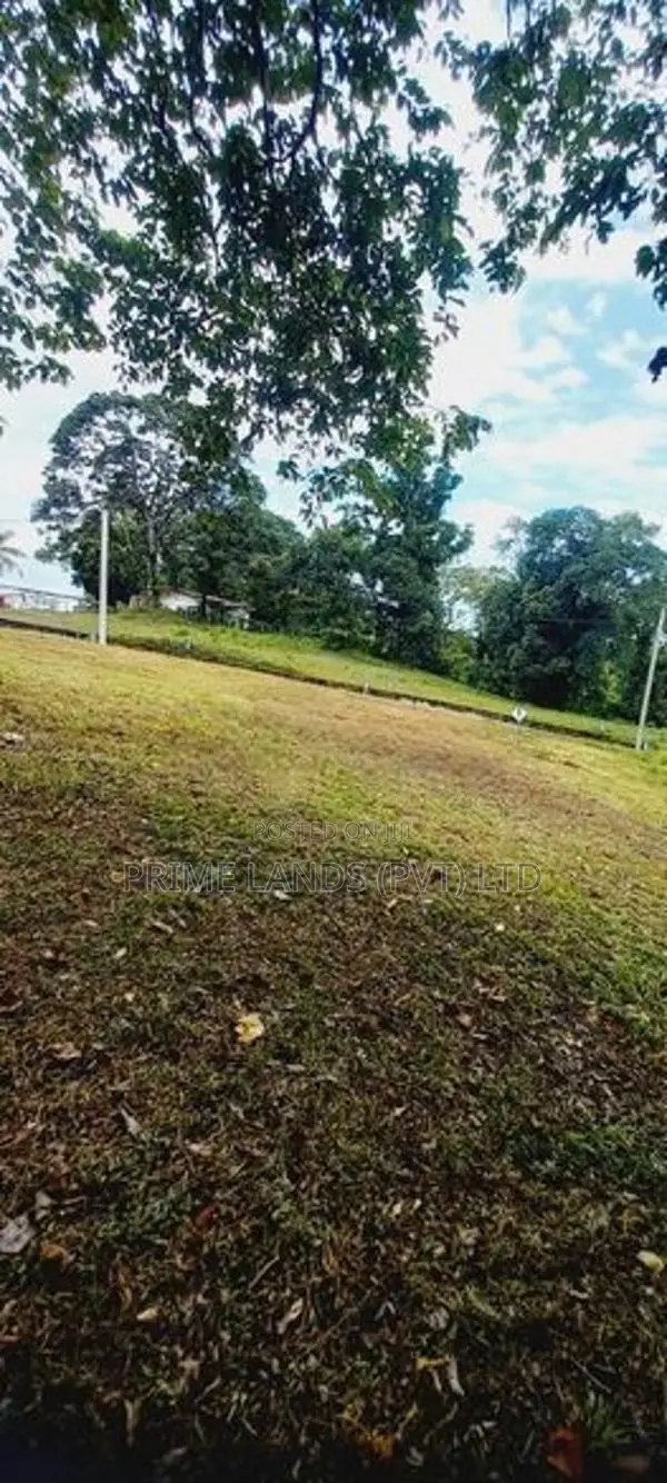 Valuable Land Plots for Sale in Hirana