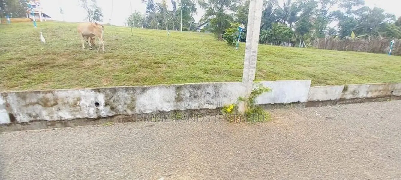 කිඳෙල්පිටිය හන්දියට ලඟින් අගනා ඉඩමක්