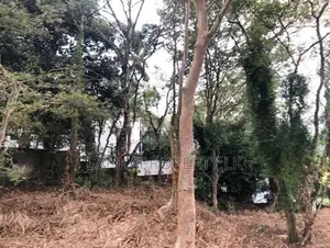 Prime Elevated Land for Sale at Lake Road, Akuregoda – Battaramulla