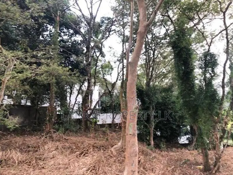 Prime Elevated Land for Sale at Lake Road, Akuregoda – Battaramulla