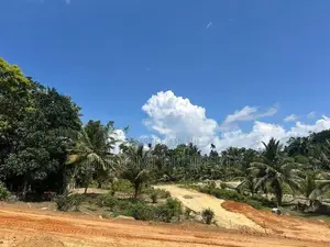 ගාල්ල උඩුගම බස් පාරට ලගින්ම බිම් කොටස්