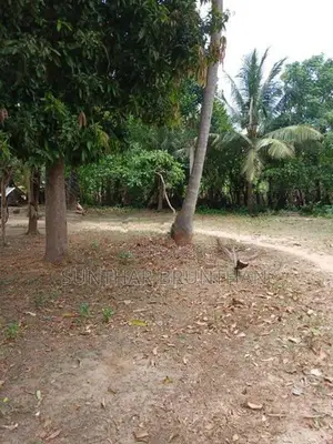 Land for Sale in Jaffna