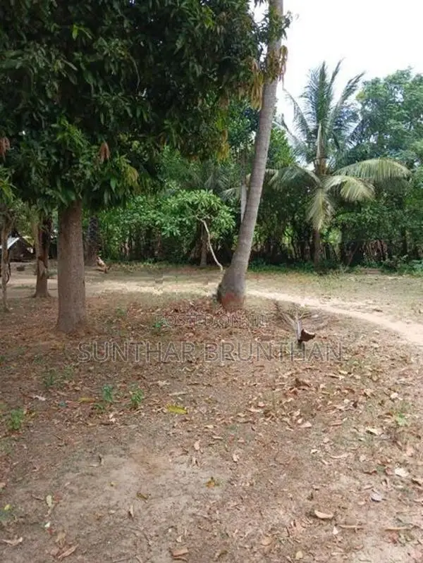 Land for Sale in Jaffna