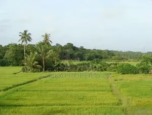 Prime Elevated Land for Sale at Lake Road, Akuregoda – Battaramulla