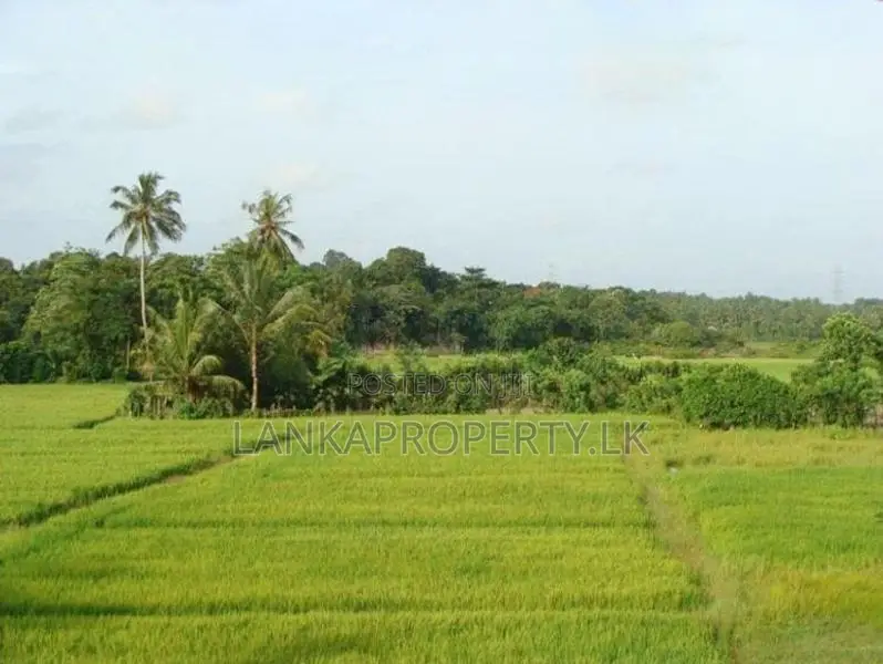 Prime Elevated Land for Sale at Lake Road, Akuregoda – Battaramulla