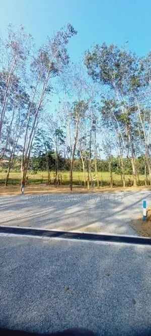පානදුර නගරයට ලඟින් හොඳම තැනක්