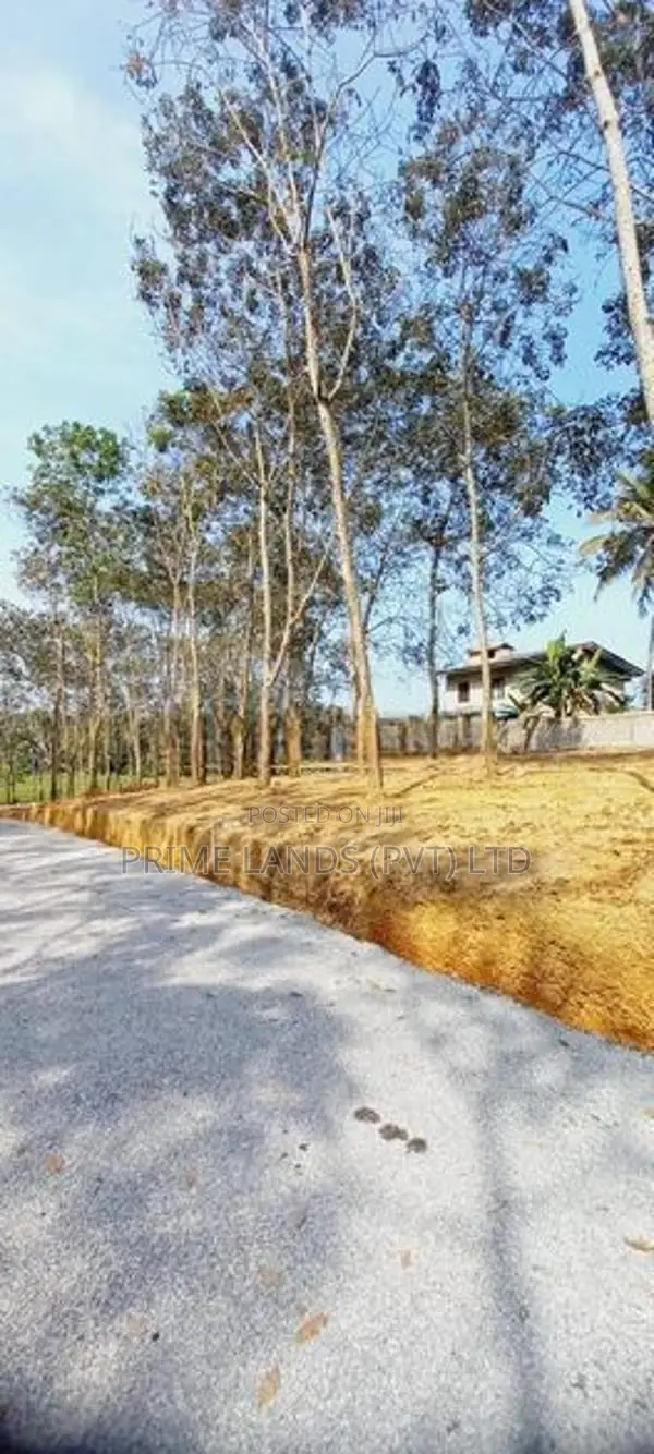 Land For Sale Near Panadura