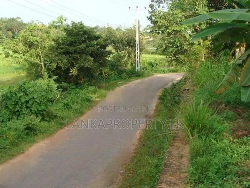 Prime Elevated Land for Sale at Lake Road, Akuregoda – Battaramulla