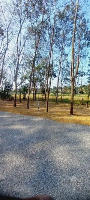 පානදුර නගරයට ලඟින් හොඳම තැනක්