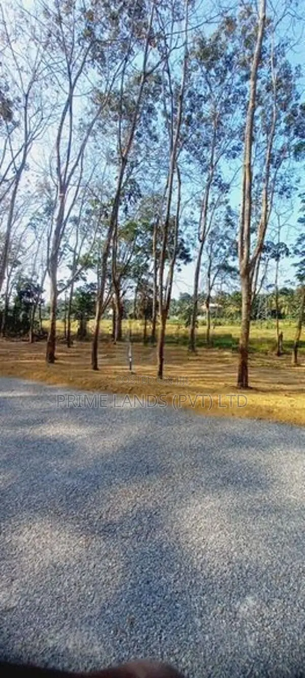 පානදුර නගරයට ලඟින් හොඳම තැනක්