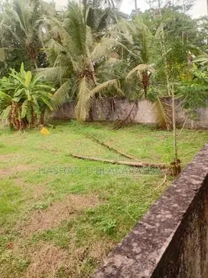 50 Perches Land Sale in Polgahawela