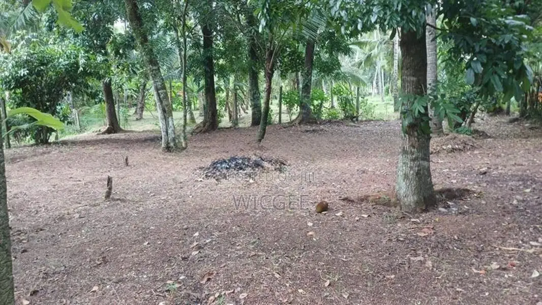 Land for Sale Yakkala
