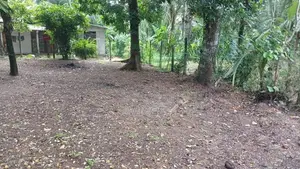 Land for Sale Yakkala