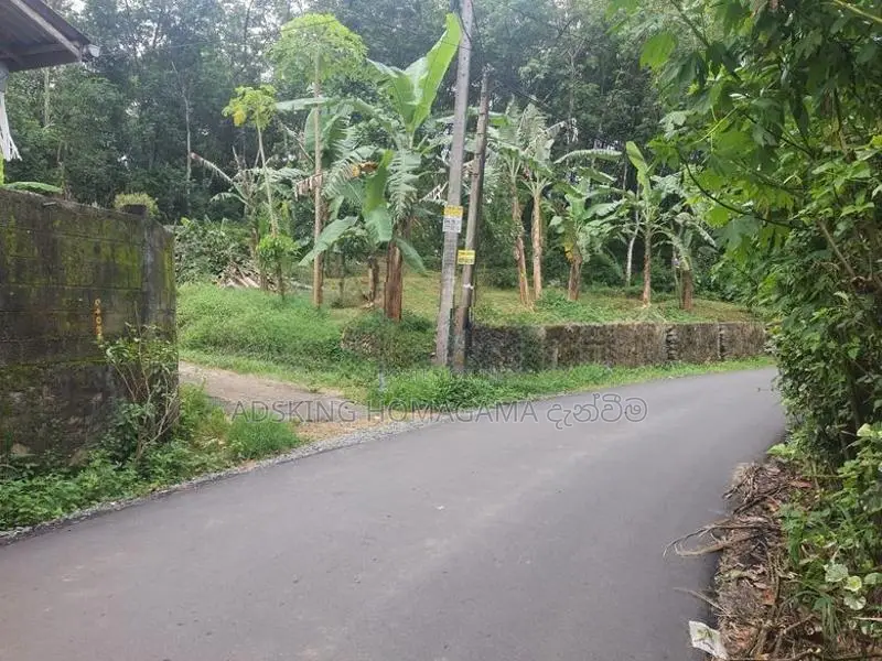 Land for Sale in Homagama