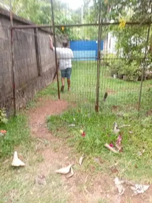 50 Perches Land Sale in Polgahawela