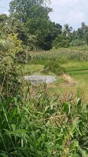 ඉඩමක් විකිණීමට ඇත වගා කිරීම සඳහා