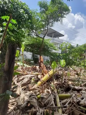Land for Sale – Moratuwa
