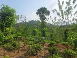 Valuable Land for Sale in Pilimathalawa