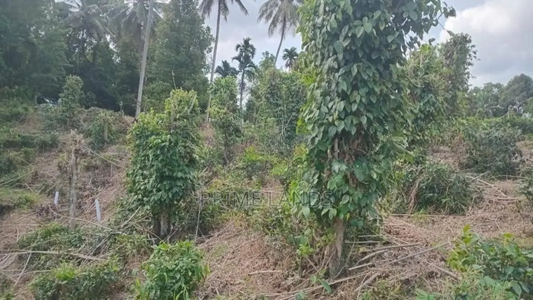 Valuable Land for Sale in Pilimathalawa