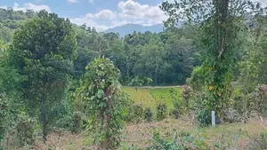Valuable Land for Sale in Pilimathalawa