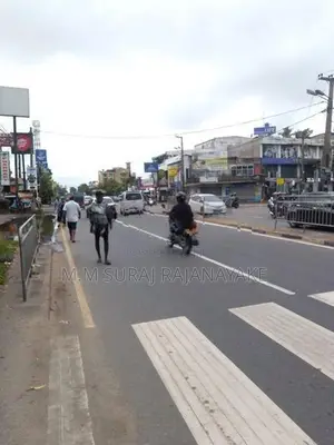 සීදුව ප්‍රදේශයෙන් වටිනා ඉඩමක් විකිණීමට ඇත.