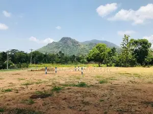 නුවර පාරට යාබදව සින්නක්කර බිම්කොටස් විකිණීමට